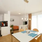 Rent 1 bedroom house of 43 m² in Cologne