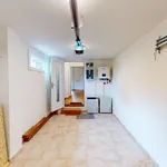 Rent 1 bedroom house of 210 m² in Brno