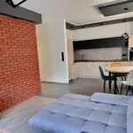 Rent 3 bedroom apartment of 52 m² in Bielsko-Biała