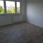 Miete 1 Schlafzimmer wohnung von 28 m² in Leipzig