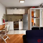 Rent 1 bedroom apartment of 37 m² in Poznan