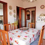 Rent 4 bedroom apartment of 90 m² in Pisa