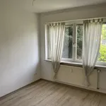 Miete 2 Schlafzimmer wohnung von 45 m² in Duisburg