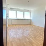 Rent 4 bedroom apartment of 78 m² in Hagen