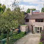 Rent 5 bedroom house of 180 m² in Arnhem