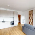 Rent 3 bedroom apartment of 87 m² in Prague