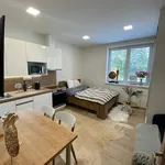 Rent 1 bedroom apartment in Zlín