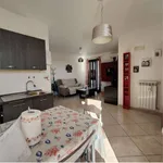 Rent 3 bedroom apartment of 75 m² in Lecce