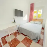 Rent 4 bedroom apartment in Seville