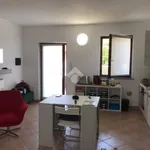 Affitto 1 camera appartamento di 45 m² in Corbetta