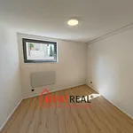 Rent 2 bedroom apartment of 44 m² in Brno