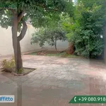 Affitto 3 camera appartamento di 85 m² in Bari