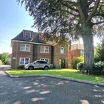 Rent 3 bedroom apartment in East Of England