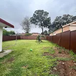 Rent 4 bedroom house in  Bankstown NSW 2200                        