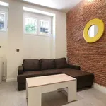 Rent 1 bedroom apartment of 60 m² in madrid