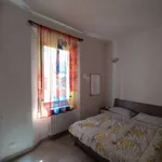 Rent 1 bedroom apartment in bologna