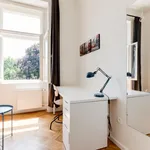 Rent 5 bedroom apartment in Prague