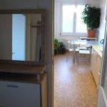 Rent a room of 80 m² in Prague