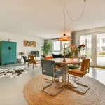 Rent 3 bedroom apartment of 111 m² in Dapperbuurt