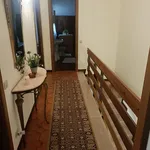 Rent 5 bedroom apartment of 100 m² in Roma