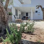 Rent 3 bedroom house of 85 m² in Marsala