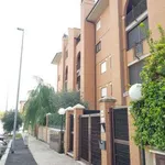 Rent 3 bedroom apartment of 80 m² in Rome