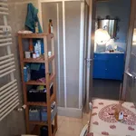 Rent 1 bedroom apartment of 50 m² in turin