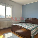 Rent 1 bedroom apartment of 110 m² in padova