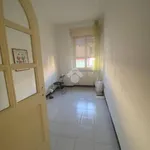 Rent 1 bedroom apartment of 20 m² in Modena