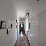 Rent 5 bedroom apartment of 100 m² in Livorno