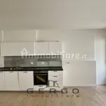 Rent 3 bedroom apartment of 80 m² in Padua