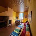 Rent 4 bedroom apartment of 60 m² in Lucca