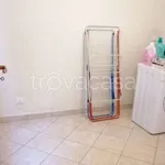 Rent 4 bedroom house of 104 m² in Bologna