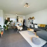 Rent 1 bedroom apartment in Antwerpen