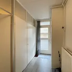 Huur 2 slaapkamer appartement van 54 m² in 6811LA Arnhem