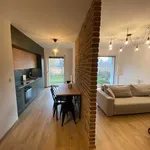 Rent 2 bedroom apartment of 50 m² in Poznan