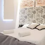 Rent 1 bedroom apartment in madrid