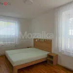 Pronajměte si 3 ložnic/e byt o rozloze 68 m² v Lanškroun