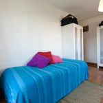 Rent 5 bedroom apartment in Matosinhos