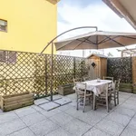 Rent 1 bedroom apartment in bologna