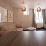 Rent 1 bedroom apartment of 330 m² in Lyon