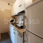 Rent 3 bedroom apartment of 60 m² in Trento