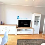 Rent 3 bedroom apartment of 64 m² in Katowice