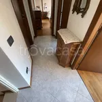 Rent 5 bedroom house of 139 m² in Ponte San Nicolò