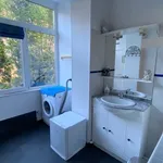 Rent 1 bedroom apartment in Forest