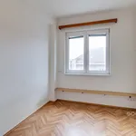 Rent 1 bedroom apartment in Praha 3