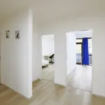 Rent 5 bedroom apartment in Dusseldorf