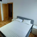 Rent 1 bedroom apartment of 46 m² in Madrid