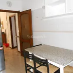 Rent 4 bedroom apartment of 100 m² in Pavia