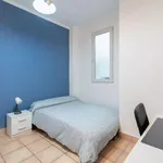 Rent 5 bedroom apartment in Valencia